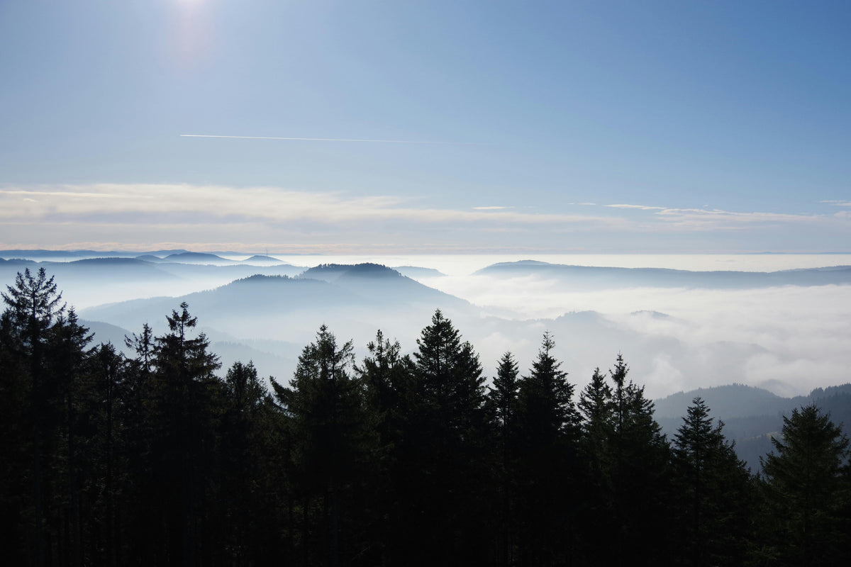 Tennenbronn im Schwarzwald